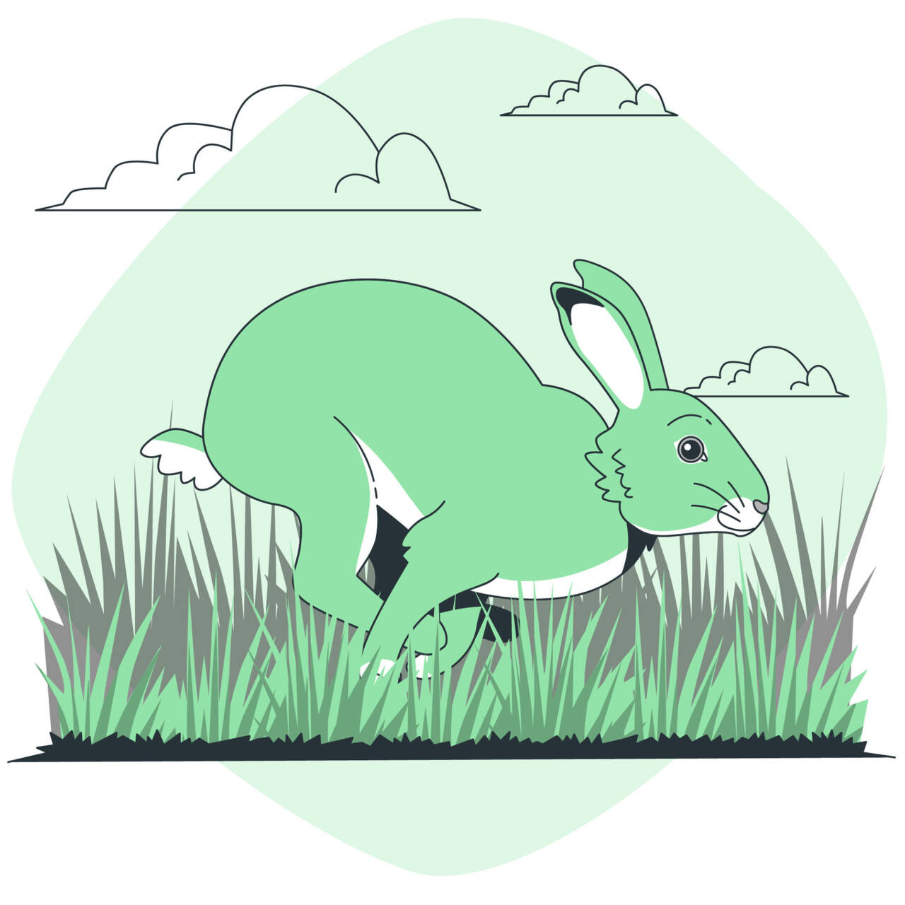 Rabbit Hole